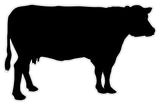 BB11 - Bespoke Cow chalkboard sticker, beautiful blackboard vinyl cut sticker, self adhesive easy install